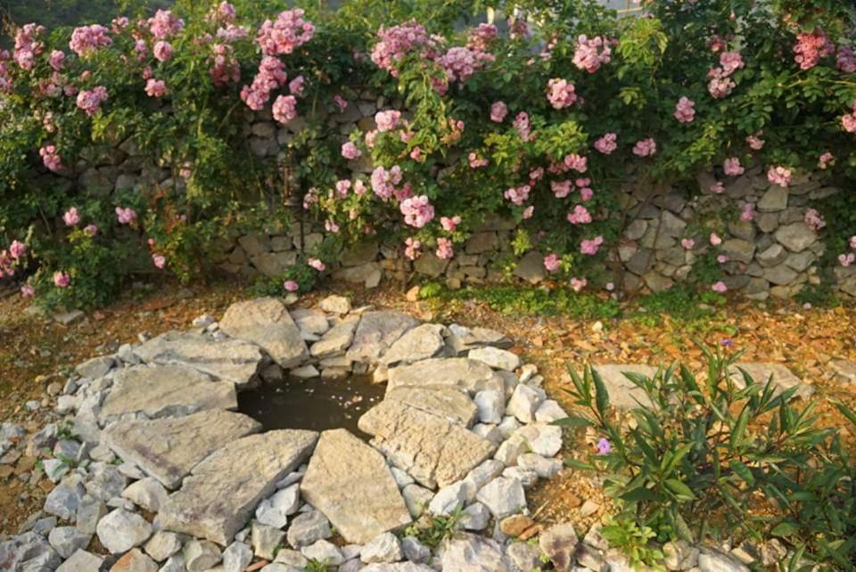 Lo Lo Homestay & Cafe Meo Vac מראה חיצוני תמונה